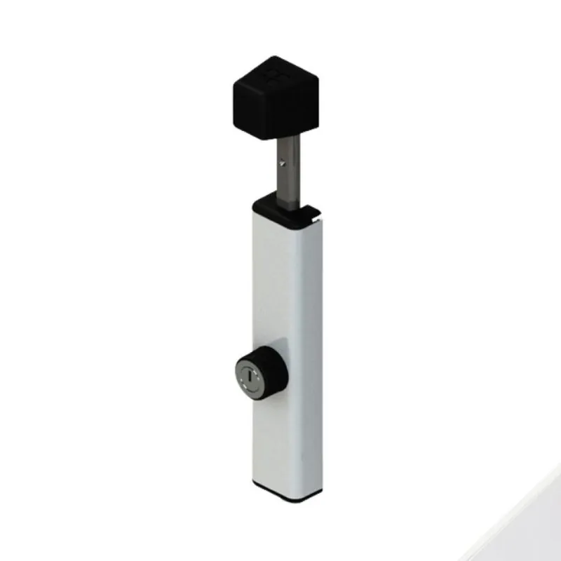 Catenaccio Bull 02181 Giesse per porta, con chiave, lunghezza 205 mm, terminale 10 mm, Zama e Alluminio finitura Bianco Lage Kosten