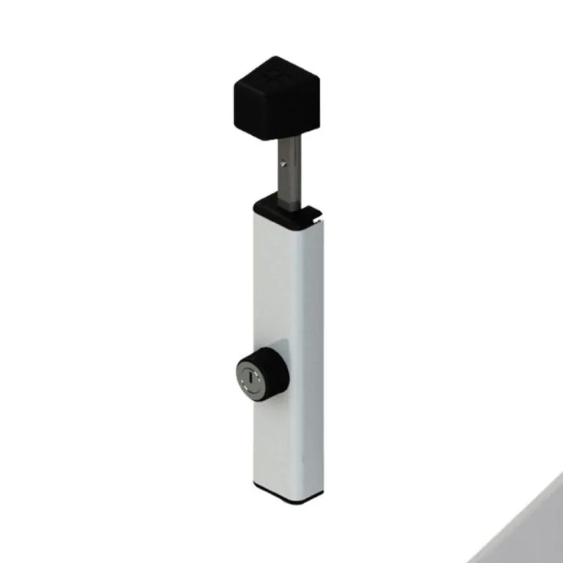 Uitverkoop Catenaccio Bull 02181 Giesse per porta, con chiave, lunghezza 205 mm, terminale 10 mm, Zama e Alluminio finitura Argento