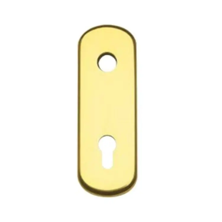 Beperkte Voorraad Placca Ghibli Ghidini per portoncino blindato, foro yale interasse 85 mm, dimensione 61x179 mm, Alluminio finitura Oro Lucido Ghi.co