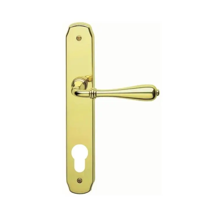 Maniglia Novecento Ghidini per porta interna, placca lunga 236x40 mm, foro Yale interasse 85 mm, Ottone finitura Lucido Verniciato Exclusieve Aanbieding