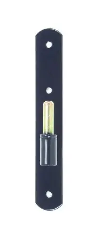 Cardine su piastra serie tonda liscia, cardine diametro 12, piastra da 180 mm, finitura Nero Dagaanbieding