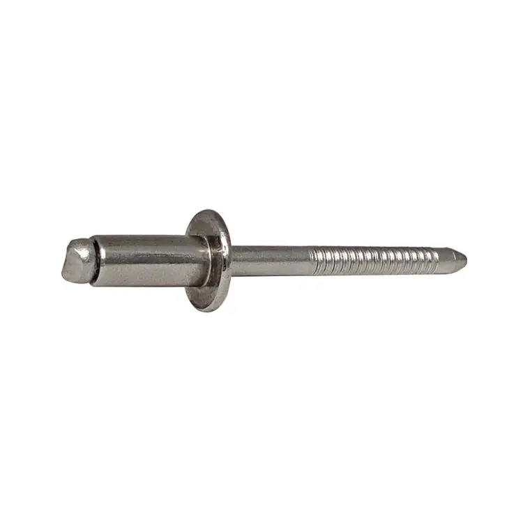 Goedkoop Blister 25 rivetti IITA2 per fissaggio, testa tonda, dimensioni 4,8x16 mm, materiale Acciaio Inox 304