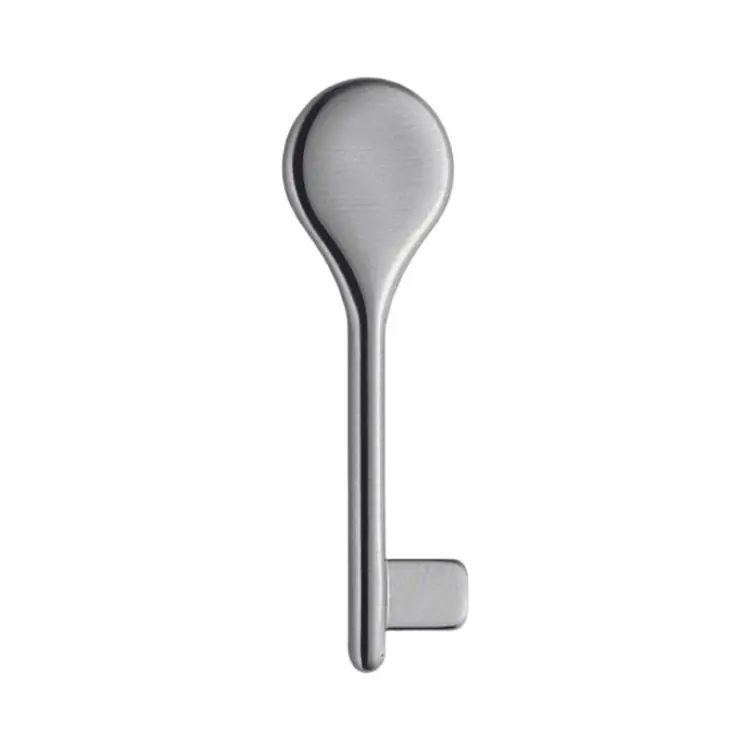 Chiave CB24 Colombo Design per serratura Patent, Ottone finitura Cromo Satinato Beperkte Voorraad