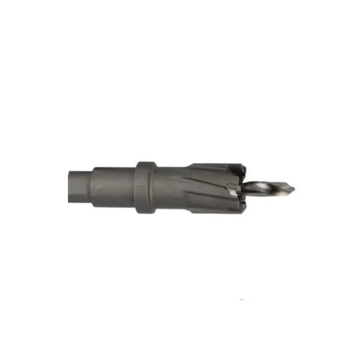 Fresa a tazza HM Endura Profit per Metallo, diametro 20 mm, punta di centraggio da 6 mm inclusa Weekendaanbieding
