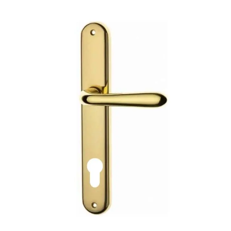 Alleen Vandaag Maniglia Uno per porta interna, placca lunga 244x40 mm, foro Yale interasse 85 mm, Ottone finitura Lucido Verniciato