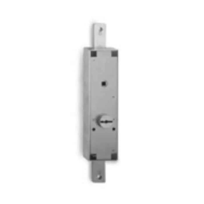 Lage Kosten Serratura 102 Fiam per porta basculante, due mandate, con 3 chiavi, centrale