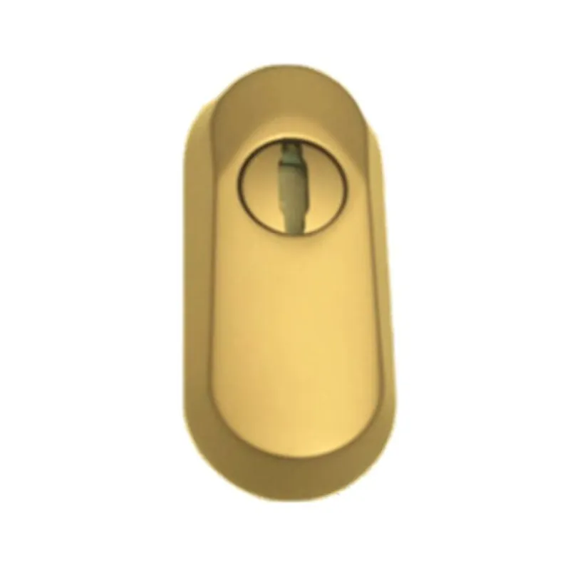 Voordeelprijs Defender ovale Iron Fiam per porte a profilo, con mostrina interna, spessore 16 mm, dimensione 79x36 mm, Acciaio finitura Oro Lucido
