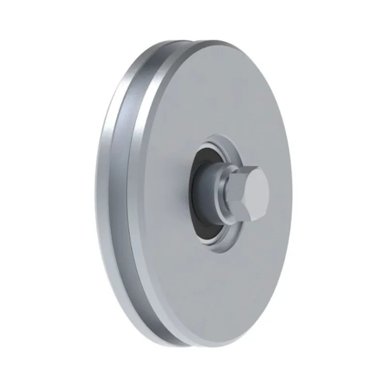 Ruota gola U VA1201.120 Fac per cancello scorrevole, diametro 120 mm, spessore 22 mm, gola 8 mm, con cuscinetto a sfera, portata 200 Kg, Acciaio finitura Zincato Veilige Betaling