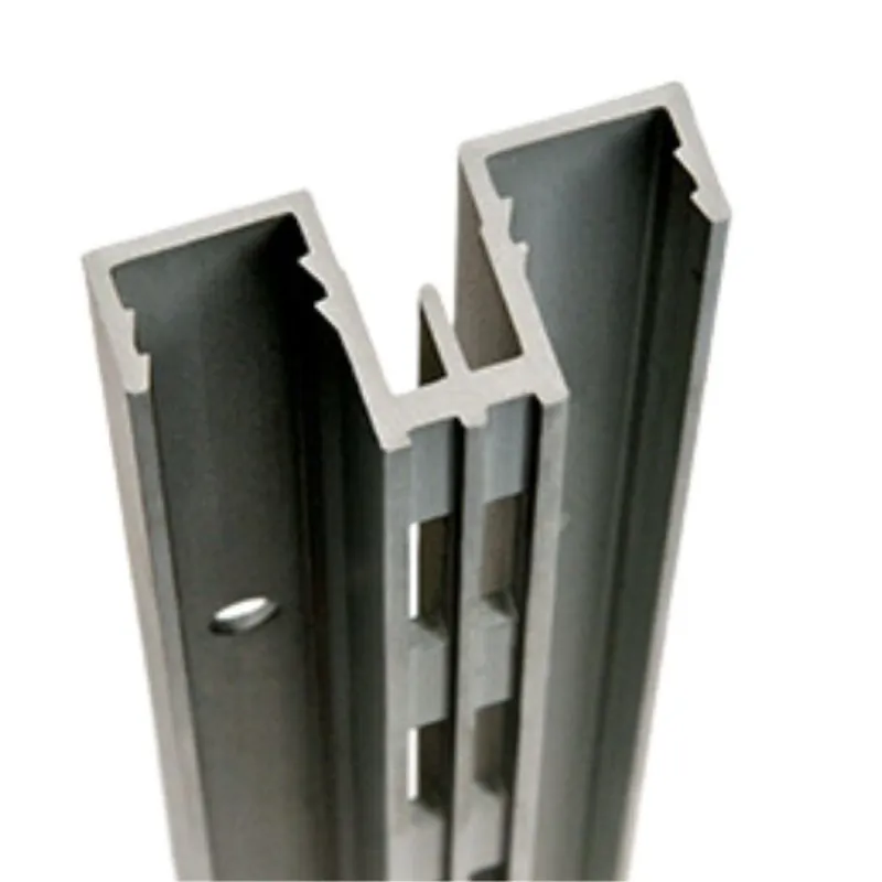 Snelle Levering Cremagliera centrale CR2 Fitart per pareti attrezzate, feritoia doppia, lunghezza 3012 mm, Alluminio finitura Argento Anodizzato