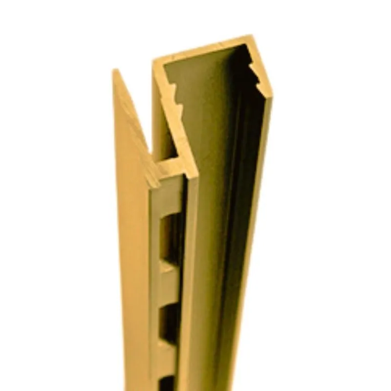 Must-Have Cremagliera laterale CR7 Fitart per pareti attrezzate, feritoia singola, lunghezza 3012 mm, Alluminio finitura Oro Anodizzato