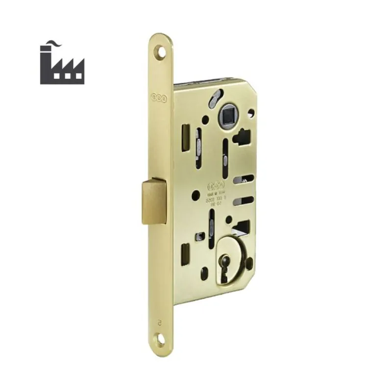 Serratura Mediana Evolution DoorXe incasso B01161 Agb per porta interna cifratura 11, entrata 50 mm, interasse 90 mm, bordo tondo 190x18 mm, Acciaio finitura Ottonato Verniciato Rechtstreeks Van De Fabrikant