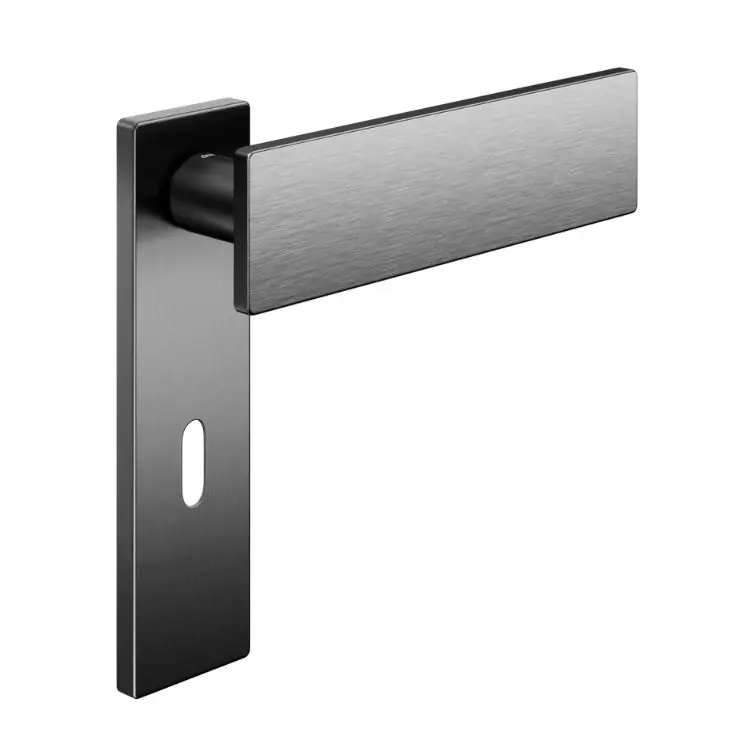 Maniglia Due DND DU10P per porta, placca rettangolare 146x40x9 mm, foro Patent, Ottone finitura Grafite Satinato Lage Prijs