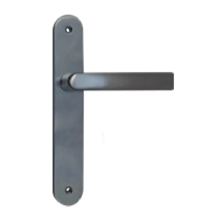 Direct Verzonden Placca interna con maniglia 07457.23.3 M1 Cisa, per maniglia elettronica eSIGNO, finitura Argento Satinato