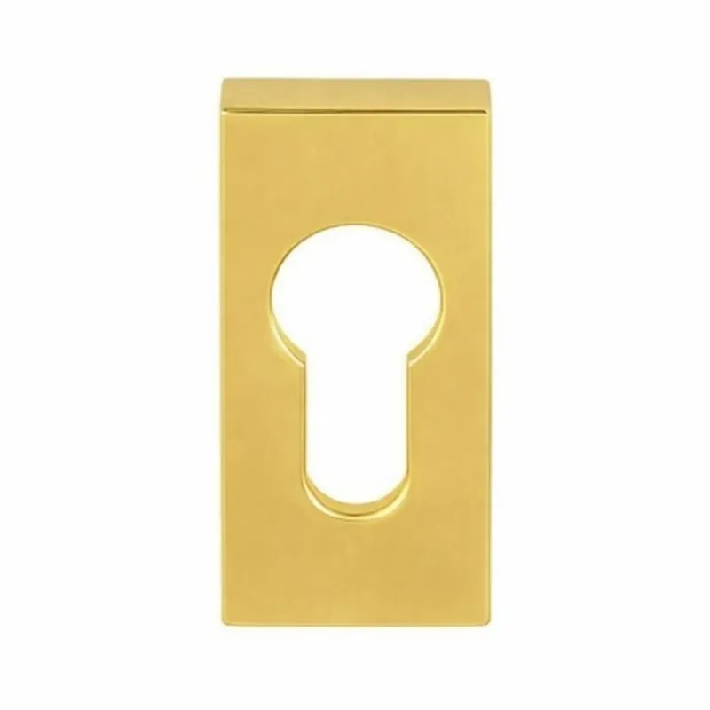 Premium Bocchetta stretta quadrata per maniglia Colombo Design, foro yale, finitura Oroplus