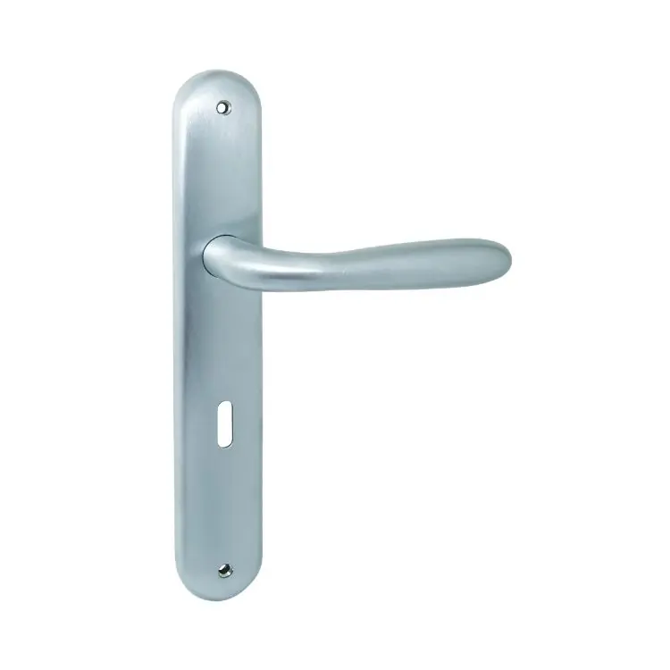 Maniglia Robot CD41 Colombo per porta interna, placca lunga 250x40 mm, foro Patent, interasse 70 mm, Zama finitura Cromat Superprijs