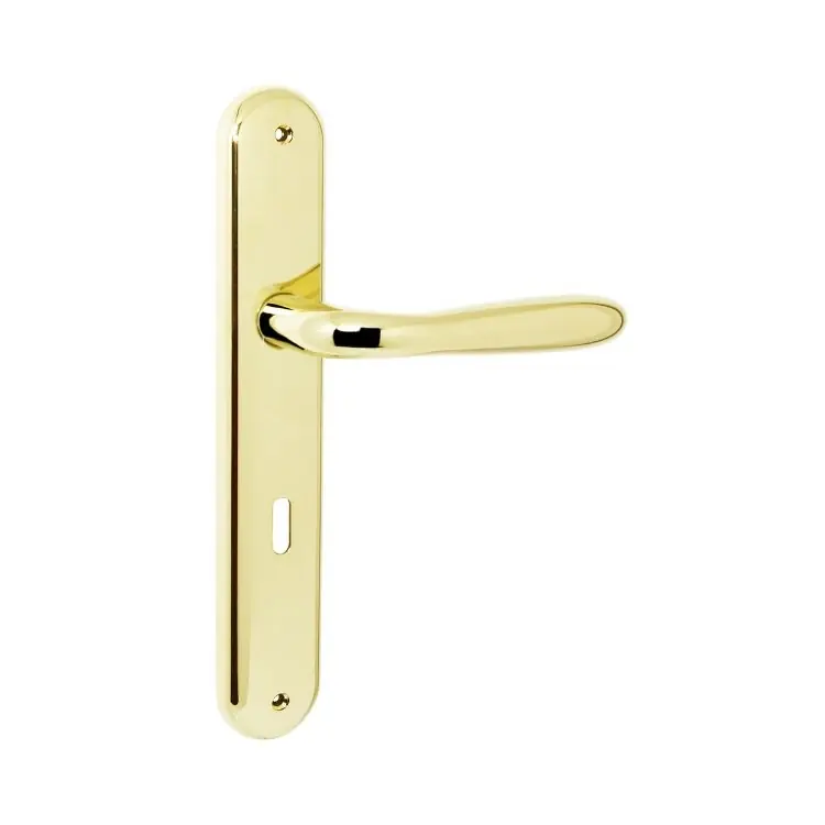 Maniglia Robot CD41 Colombo per porta interna, placca lunga 250x40 mm, foro Patent, interasse 70 mm, Zama finitura Oroplus Gratis Retour