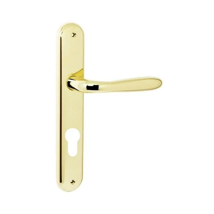 Hoge Kwaliteit Maniglia Robot CD41 Colombo per porta interna, placca lunga 250x40 mm, foro Yale, interasse 85 mm, Zama finitura Oroplus