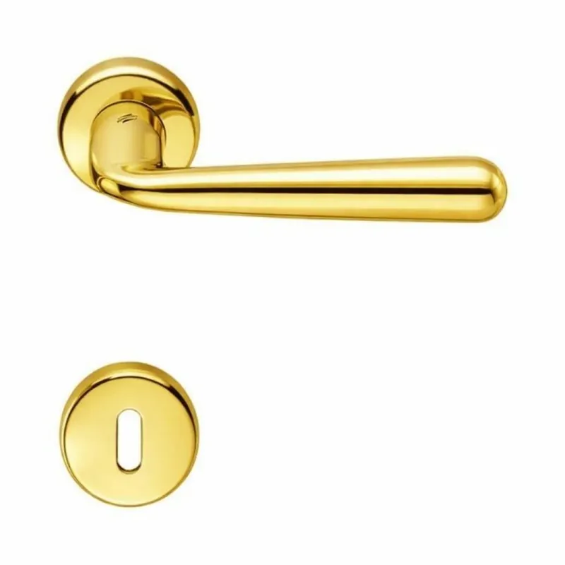 Maniglia Robodue CD 51 R Colombo Design per porta, foro Patent, rosetta tonda diametro 50 mm, finitura Oroplus Op = Op