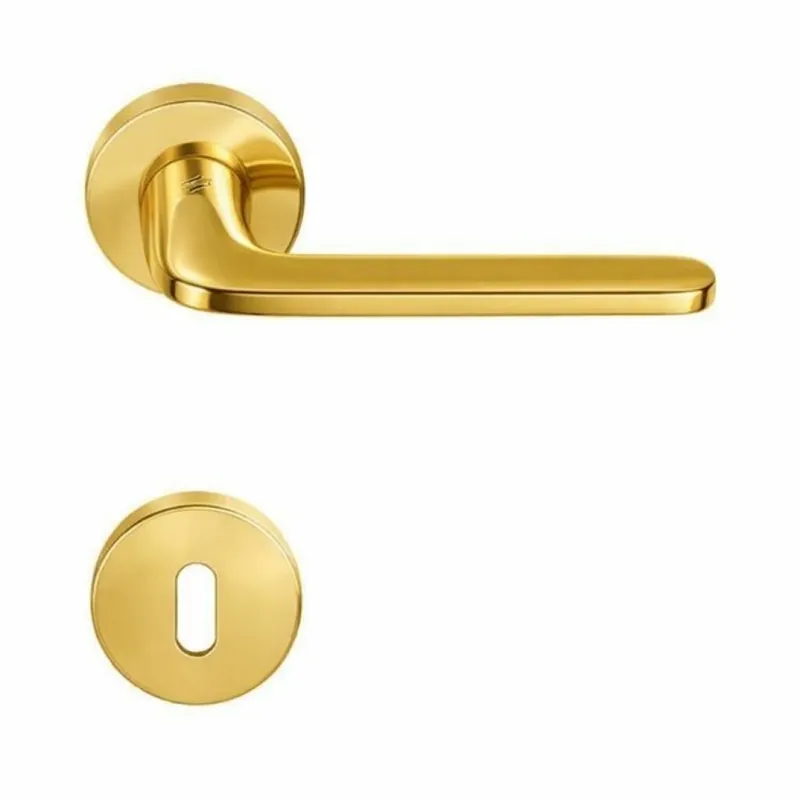 Maniglia Roboquattro ID 41 R Colombo Design per porta, foro Normale, rosetta tonda diametro 50 mm, finitura Oroplus Gecertificeerd