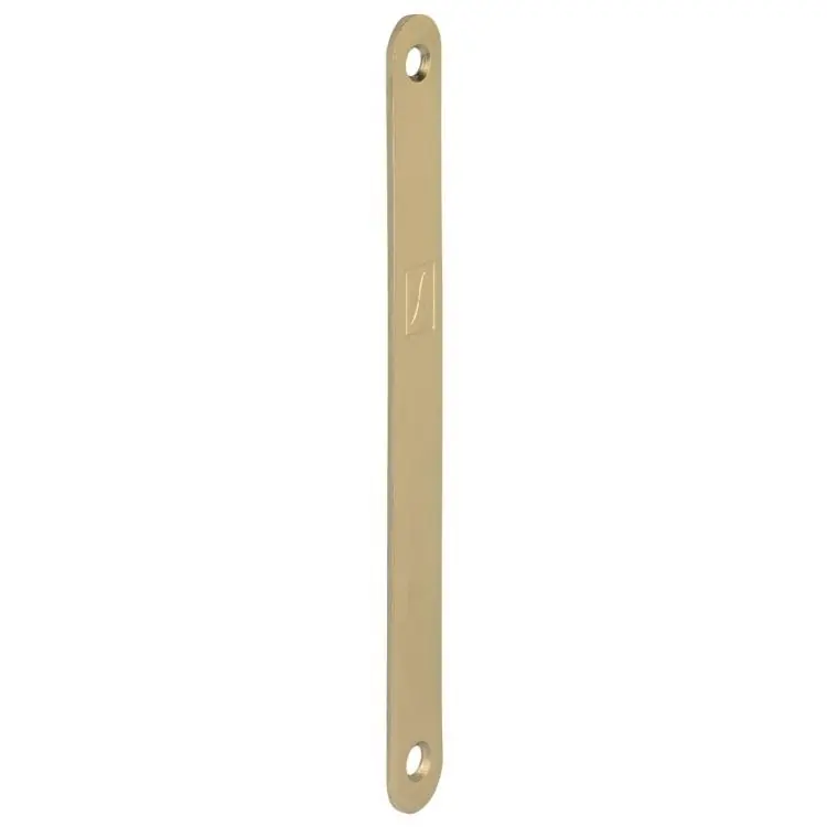 Dagaanbieding Piastra cieca coprifresata Bonaiti, per Serratura porta scorrevole, dimensioni 160x16 mm, finitura Ottonato Lucido