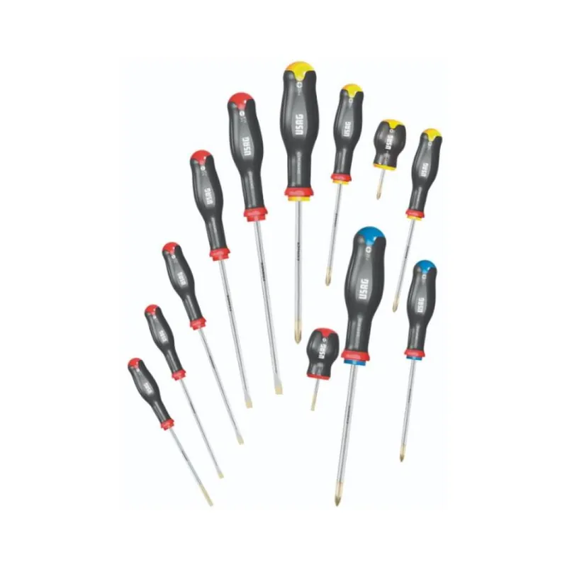 Voordeelprijs Set 12 giraviti 324 SH12 Usag per vite, con intaglio, impronta a croce phillips e pozidriv-supadriv, materiale Acciaio Cromo Silicio Vanadio