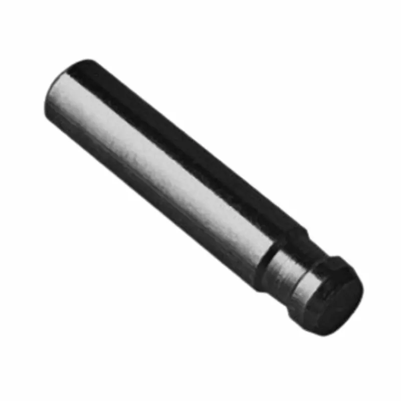 Perno sfilabile H01850.40.09 AGB, per cardine con grano di bloccaggio, diametro 12 mm, altezza 40 mm, Acciaio finitura Zincato Nero Voordeelprijs