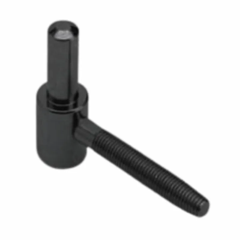 Korting Cardine a vite tradizionale H00185.20.93 Agb per cavallotto o bandella, perno diametro 12x42 mm, gambo da 9,8x50 mm, Acciaio finitura Nero
