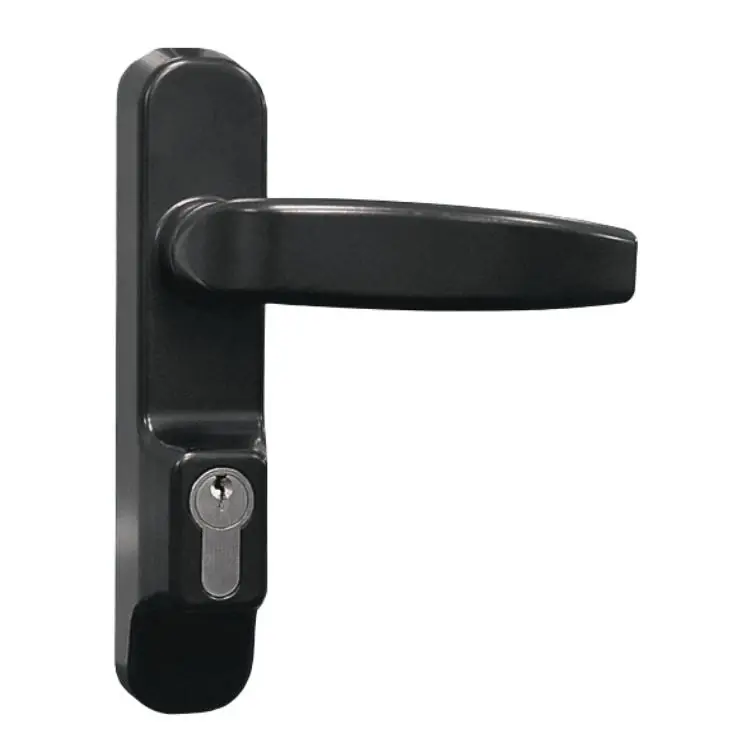 Nieuw Maniglia con cilindro 19720 Assa Abloy, per antipanico Millennium, finitura Nero