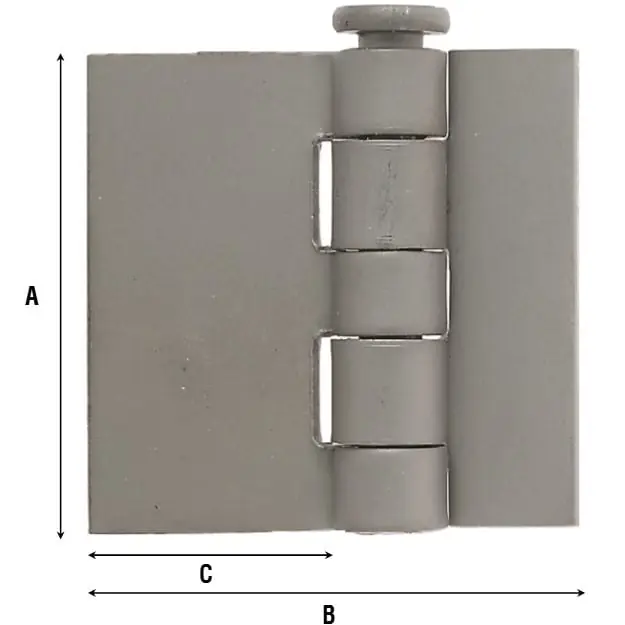 Lage Kosten Cerniera Aldeghi per serramento, con collo, senza fori, altezza 100 mm, in acciaio, finitura Lucida