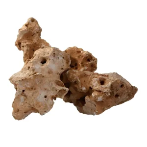 Seizoensaanbieding Rocce Ornamentali Sfuse 100/200 MM Decorazione Vialetti Aiuole Esterni 1KG