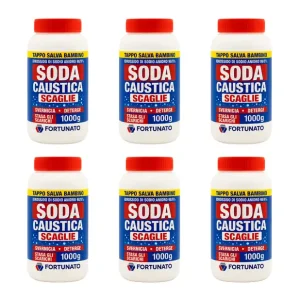 Sgrassatore Disincrostante Disgorgante Soda Caustica 1 Kg Pezzi 6 Hete Deal