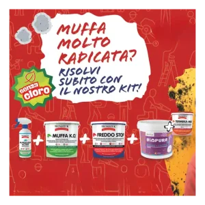Finale Uitverkoop KIT Per Muffa Molto Radicata Tecnostuk Con Pittura Cromika Bianca 2,5 L