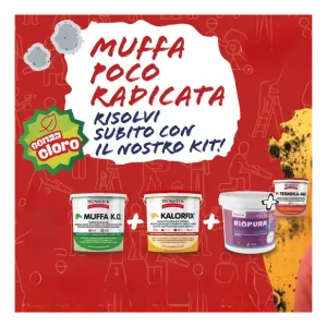 Tijdelijk Beschikbaar KIT Per Muffa Poco Radicata Tecnostuk Con Pittura Cromika Bianca 2,5 L