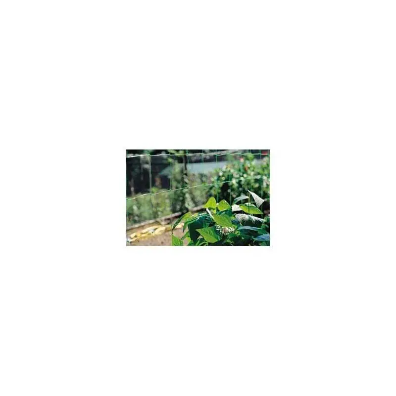 Voordeelprijs RETE SOLANIA ORTAGGI CM200 CON.MT10,Eur 5,60