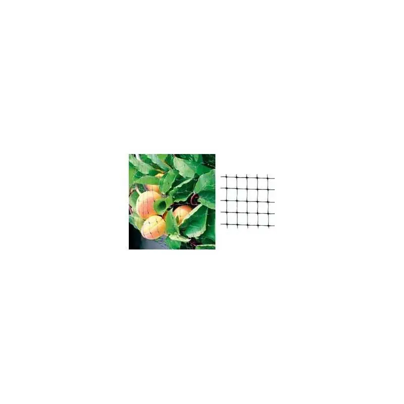 RETE ORTOAMICA ANTIUCCELLI MT.2X10,Eur 5,81 Direct Beschikbaar