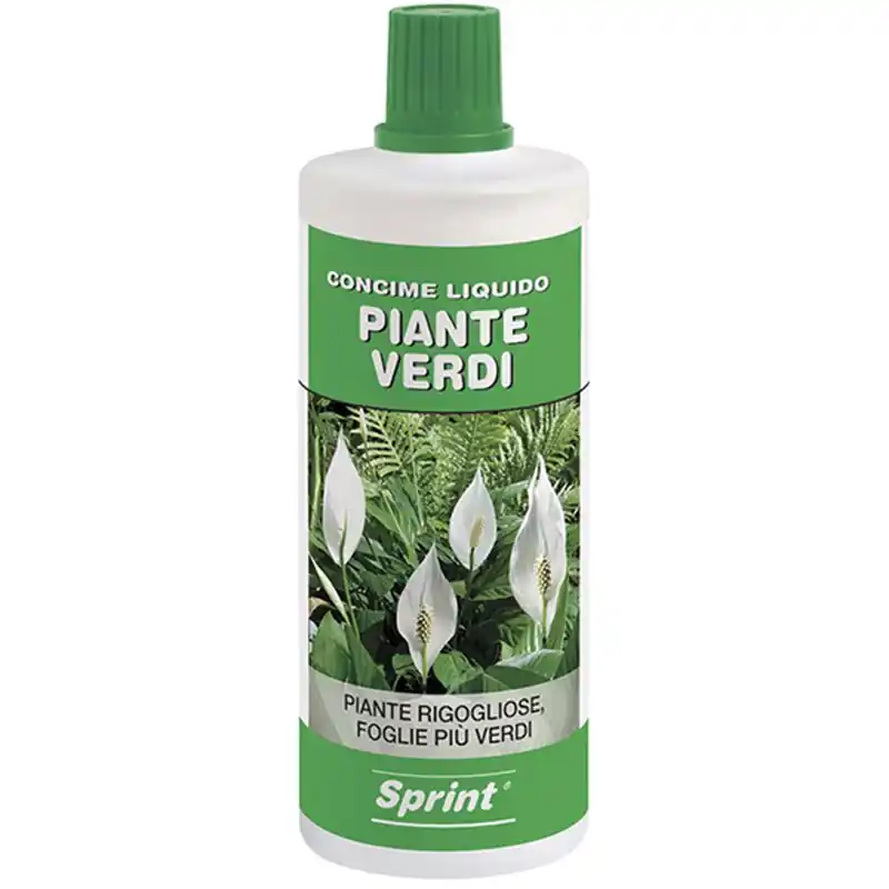 Seizoensaanbieding CONCIME LIQUIDO PIANTE VERDI KG.1,Eur 4,54