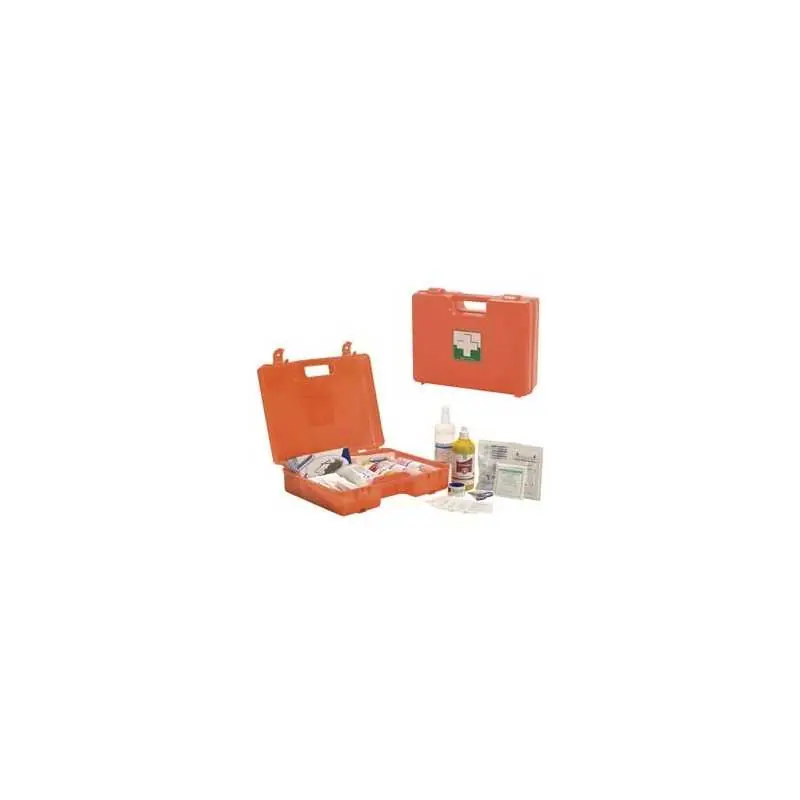 Veilige Betaling VALIGETTA PRONTO SOCCORSO CAT.A-B ALLEGATO 1,Eur