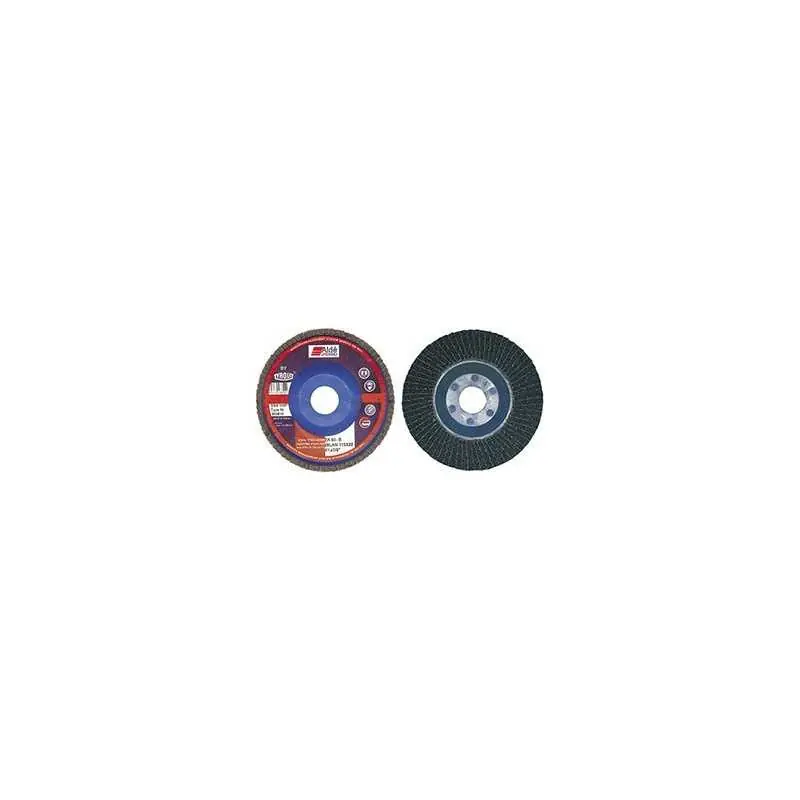 DISCHI ABRASIVI LAMELLARI ALDE BY Seizoensaanbieding