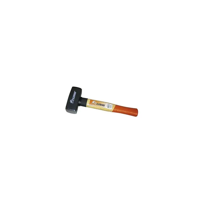 MAZZETTE LIONS M.LEGNO 2756 GR. 800,Eur 8,99 Koopje