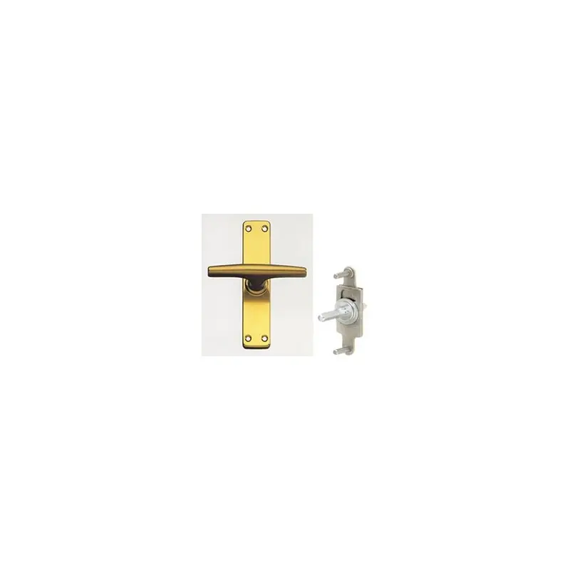 Beperkt Aanbod CREMONESI ALLUMINIO ANODIZZATO BRONZO MP + QUADRO