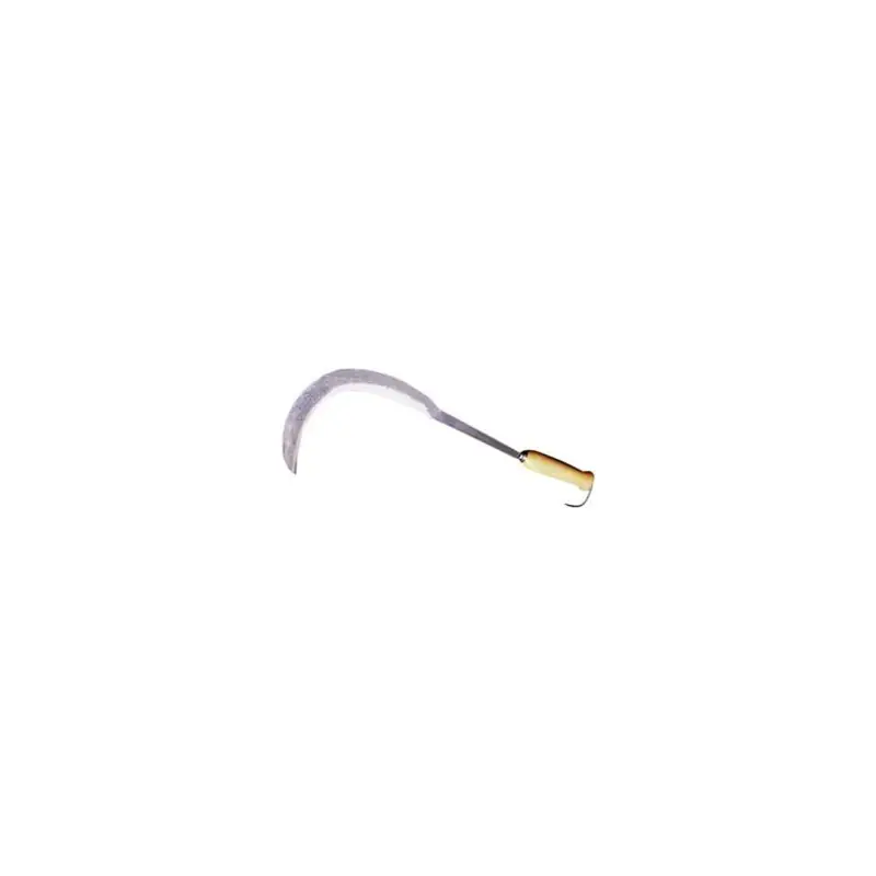Direct Verzonden RONCOLA X SIEPI ALDE STRADINO,Eur 18,96