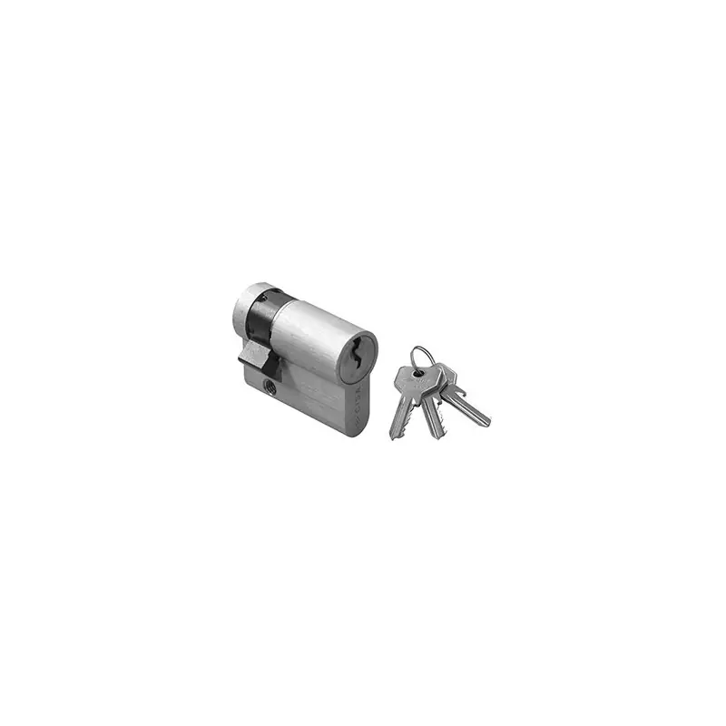 Beperkt Aanbod CILINDRI CISA OG305.02,Eur 12,82