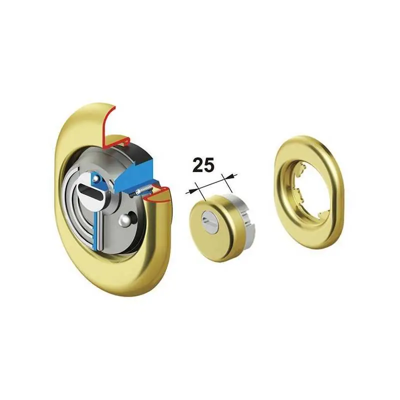 Laatste Kans PROTEZIONE DISEC MONOLITO BD201-25D1,Eur 50,19 Finitura Ottone