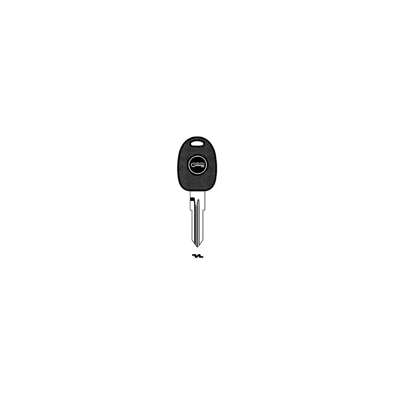Beperkte Voorraad CHIAVI E. AUTO T00GB14RPD,Eur 6,95