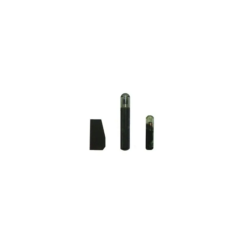 Rechtstreeks Van De Fabrikant CHIAVI E. AUTO- * CHIP * TM1A,Eur 24,36