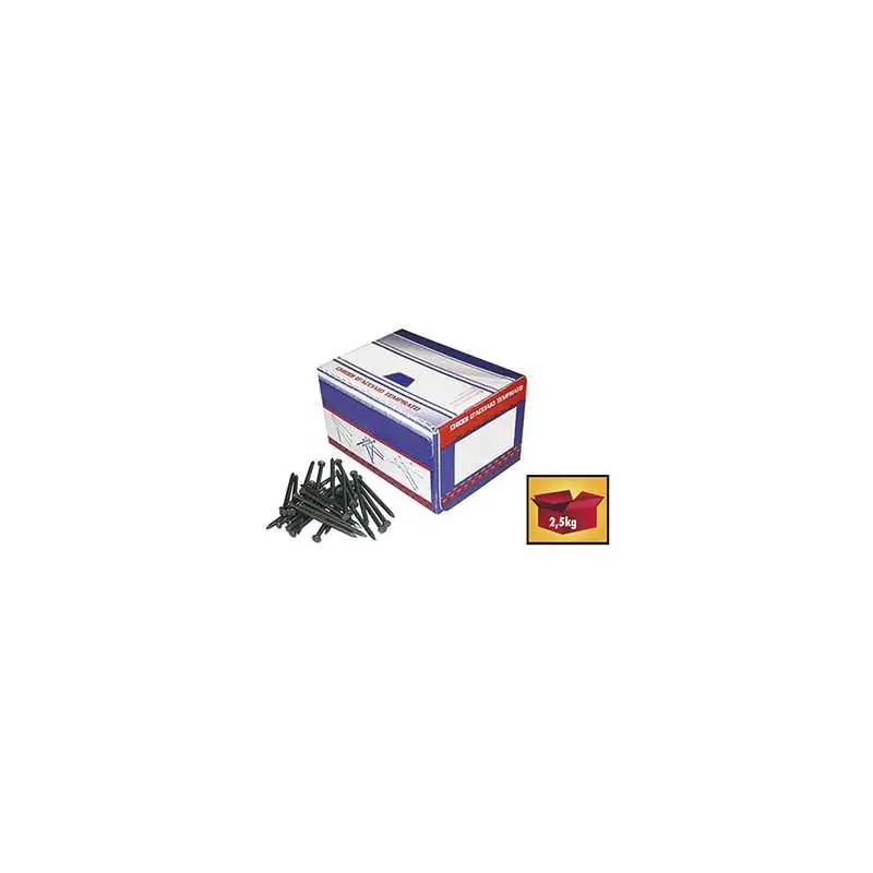 CHIODI ACCIAIO BLUE 4,0X70 2,5KG,Eur 9,15 Shop Nu
