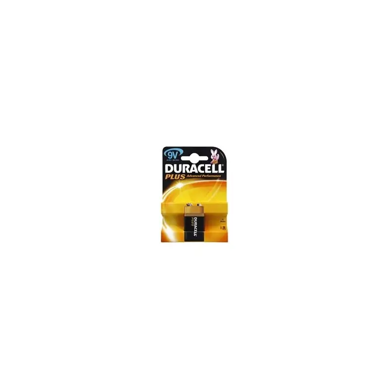 Finale Uitverkoop PILE DURACELL TRANSISTOR 1604-9VPZ1,Eur 3,47