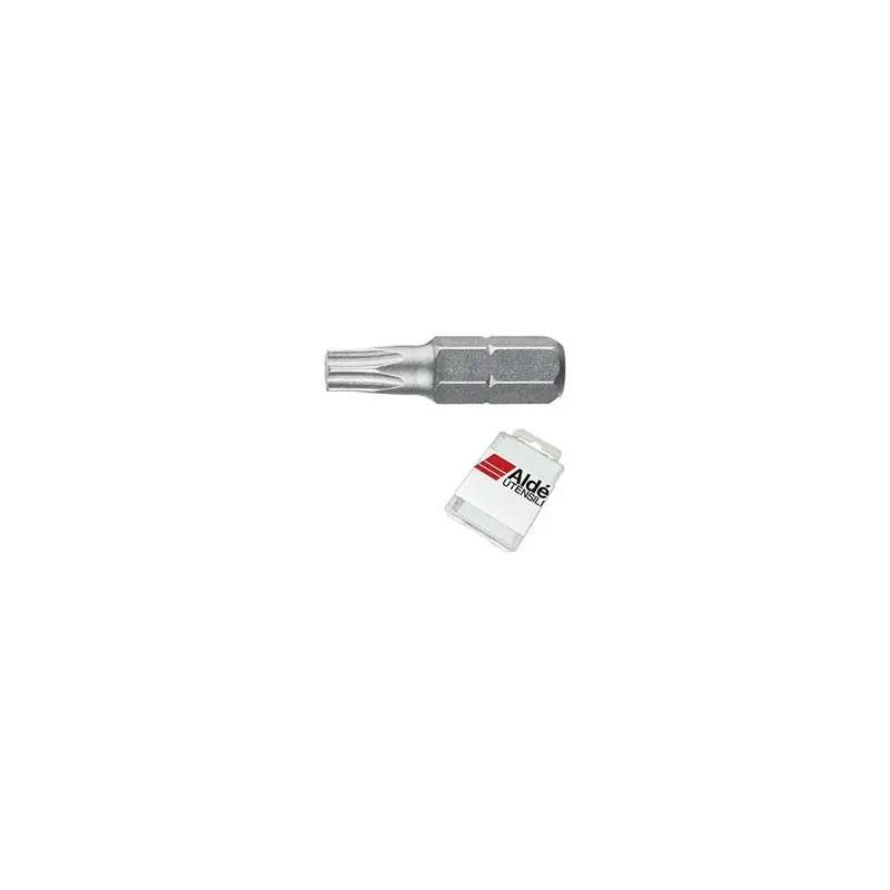 Direct Verzonden INSERTI ALDE TORX T 6 MM.25,Eur 0,64