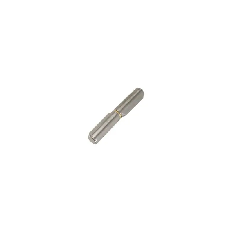 Beste Prijs CERNIERE COMBI 255 CON COSTA MM.120,Eur 1,31
