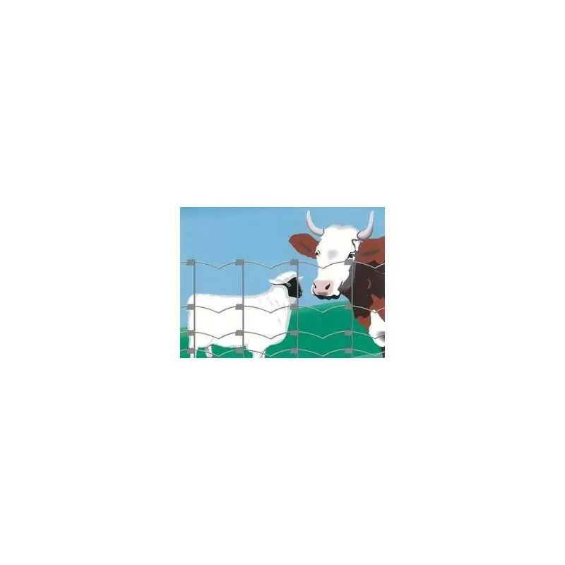 RETE PECORE*ITALY* CM100/8/15 MT50,Eur 64,90 Koop Vandaag